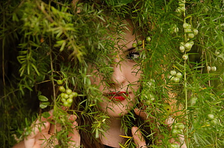 woman beside green leaf plant