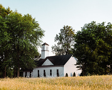 church surrounded by green leafed trees during daytime