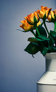 yellow flower arrangement in vase