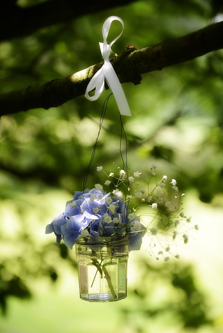 selective focus photograph of blue petaled flowers in clear glass vase hanging on tree branch