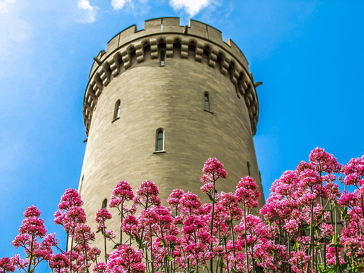 gray concrete tower with pink petaled flowers during daytime low angle photography