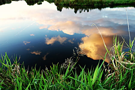 Reflection of White Clouds on Pond