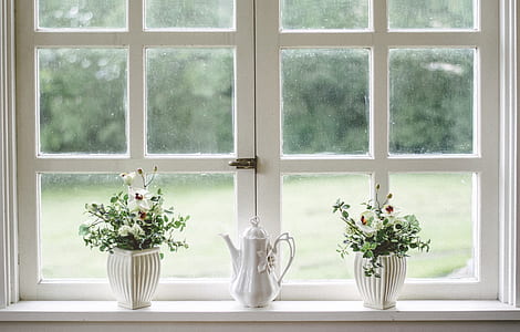 white wooden framed glass window with plants