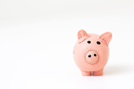 Piggy bank holder for money coins