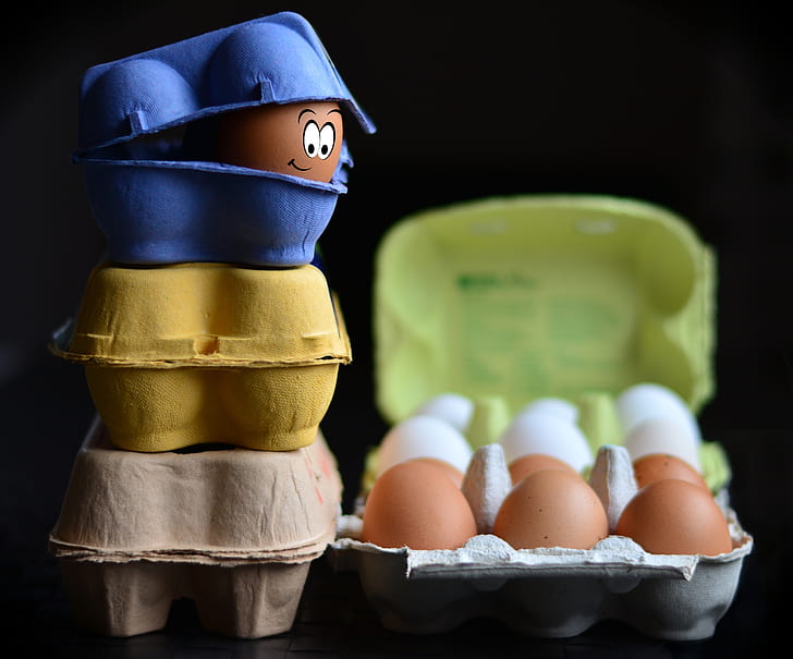three blue, yellow, and brown poultry of eggs photography