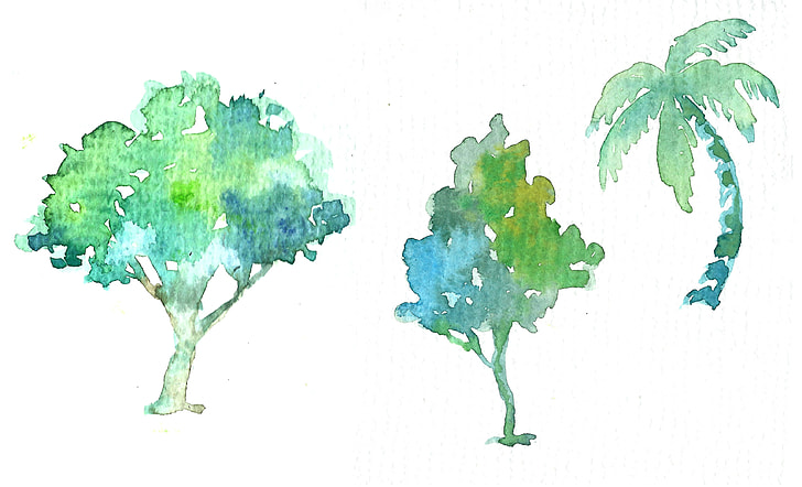 three green sketches of trees and palm tree