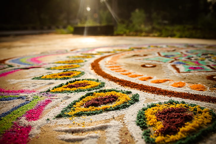 colors, floor, festival, indian, hindu, colorful