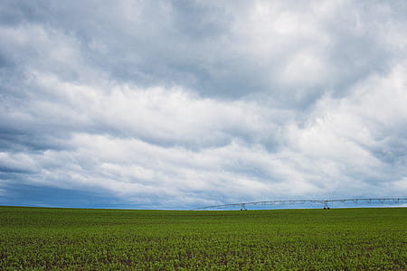Green Grass Field Under Cumulonimbus Clouds