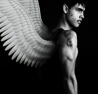 grayscale photography of man topless with wings