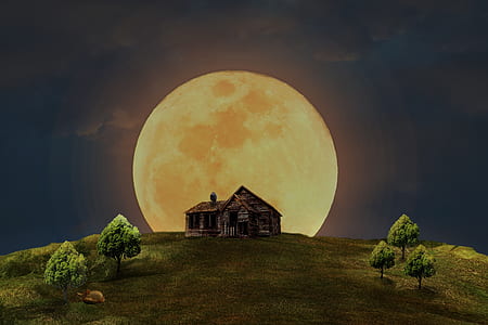 house and moon illustration