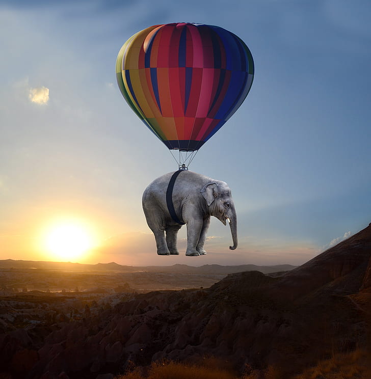 hot air balloon elephant illustration