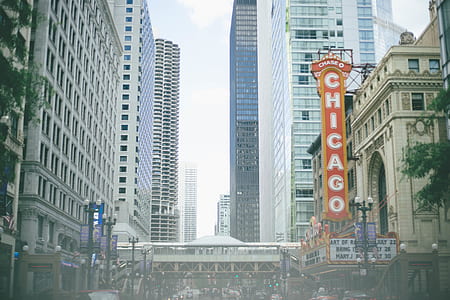 Chicago signage during daytime