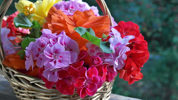 assorted-colored petaled flowers in brown wicker baskets
