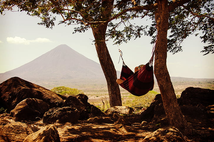 person lying on brown hammock in between two trees during daytime