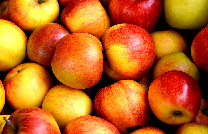 close-up photo of bunch of apples