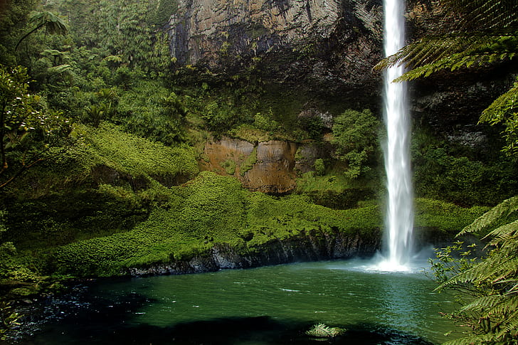 waterfalls beside green trees