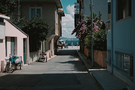 photography of street