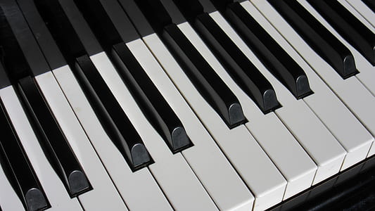 close up photo of piano tiles