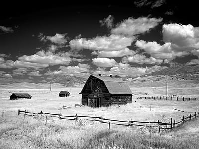 grayscale photography of barn surrounded by wooden fence during daytime