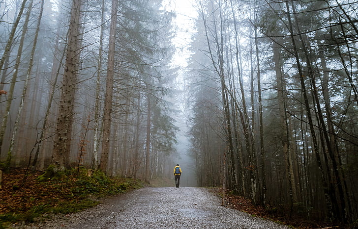 man walking on eerie forest
