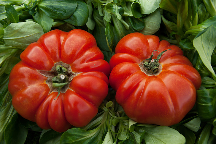closeup photo of two ripe tomatoes