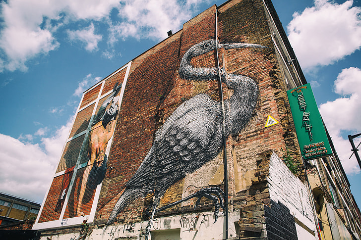 Shot of a street art bird on the side of a building in East London