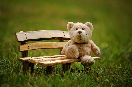 brown bear plush toy sitting on brown wooden bench miniature photo