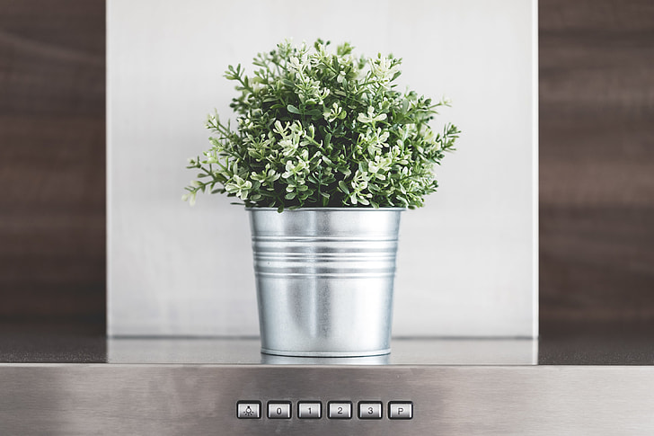 Kitchen Decoration: Green Flower in Metallic Flowerpot