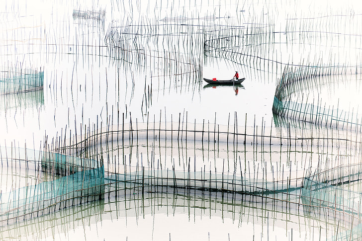 fishpond drawing