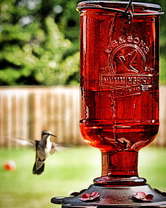 selective focus photography of red footed glass