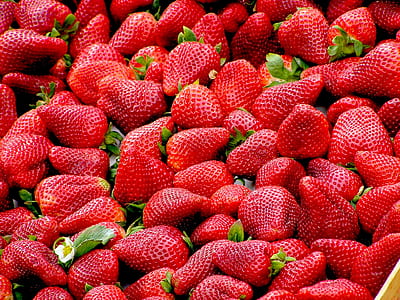 ripe strawberry lot