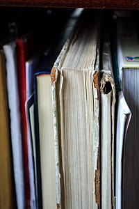 Closeup Photo of Book Filed on Shelf