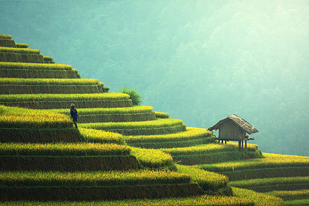 Agriculture landscape in rural China