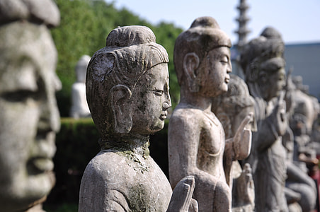depth of field photography of statues