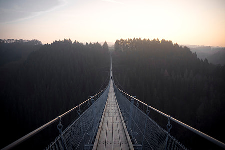 hanging foot bridge during dusk