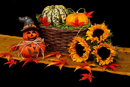 pumpkin on brown basket beside three sunflowers