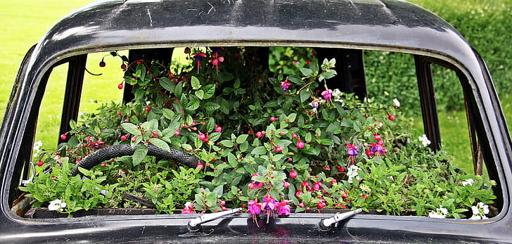 photo of black car filled of flowers