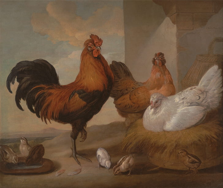 three assorted chicken illustration