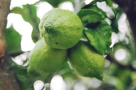 green lemon closeup photography