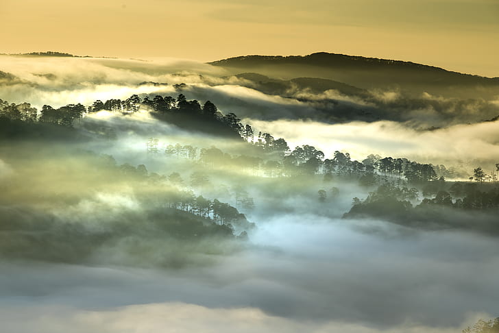aerial photography of foggy mountain