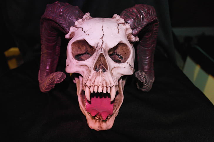 white and black skull with horns