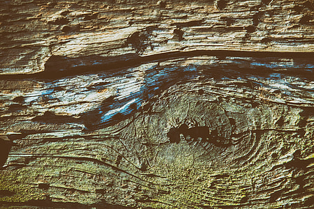 Close up texture shot of old wood details, image captured in Cornwall, England with a Canon 5D DSLR