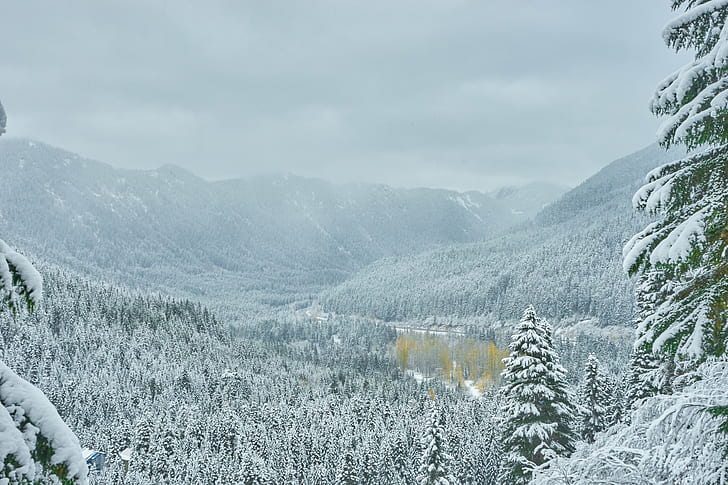 snow mountain during winter