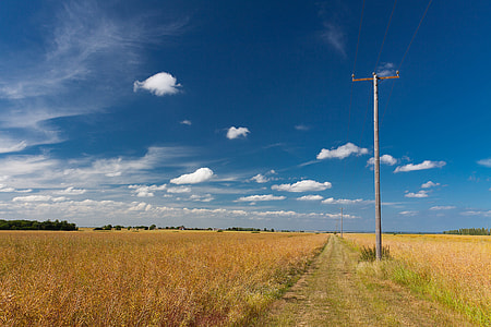 Landscape photo of an English field in the summer, shot taken in Kent, England with a Canon DSLR