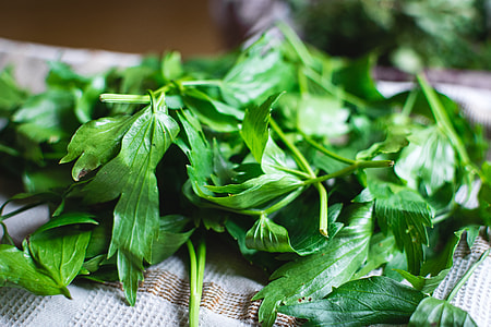 Different kinds of fresh herbs