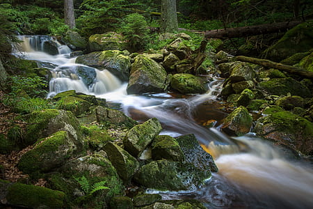 river between green grass-covered rocks during daytime