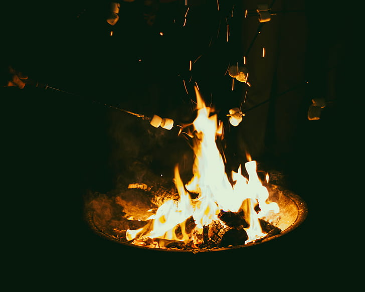 bonfire between people holding smores with stick