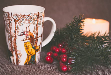 selective focus photography of white and brown mug beside green spruce leaf