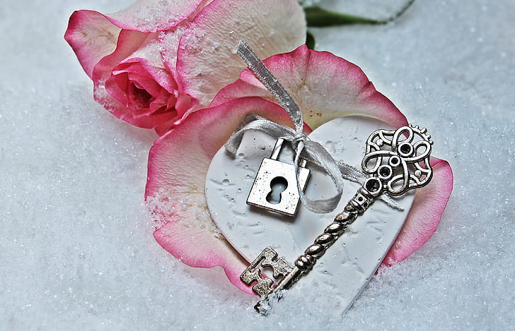 grey steel skeleton key with two pink roses