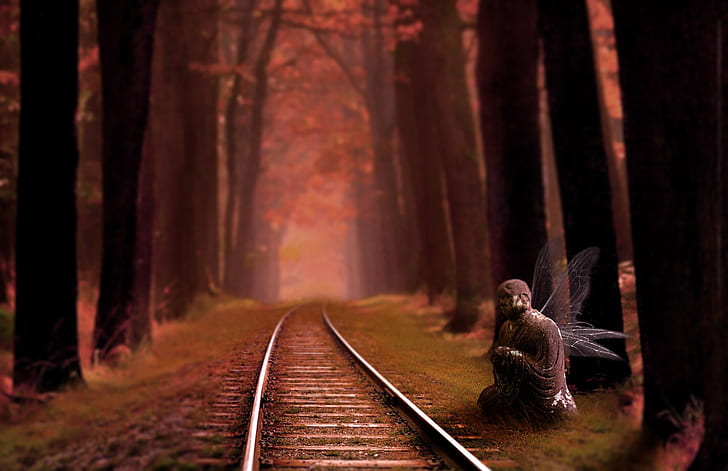 fairy beside train rail surrounded of tall trees painting